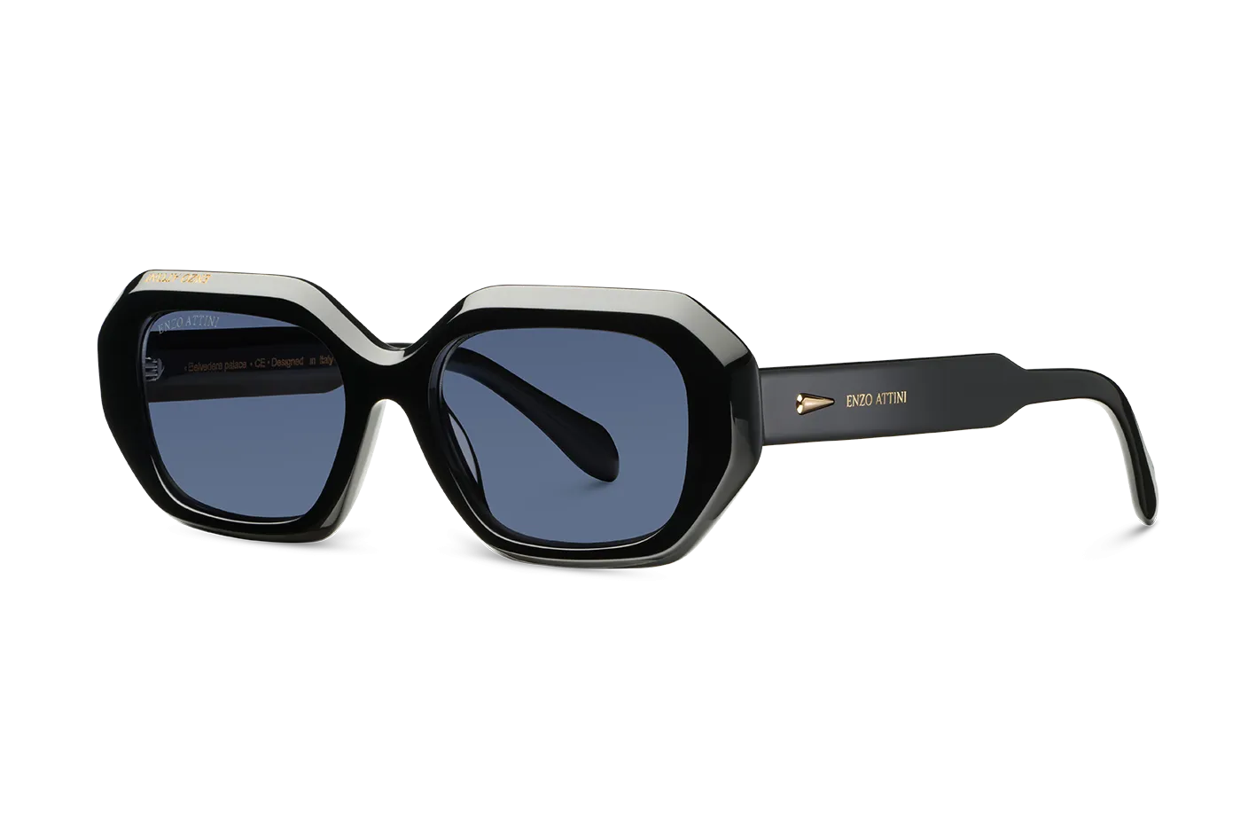 Belvedere Palace / Black   Dark Black Lens.