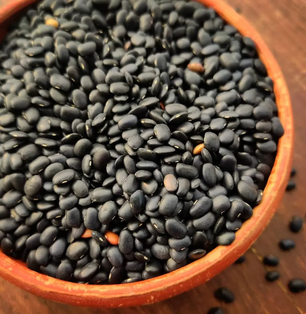 Black Horse Gram
