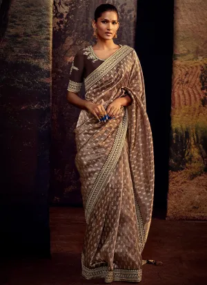 Brown Two Tone Embroidered Organza Silk Saree