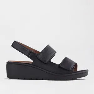 Double Band Wedge Slingback Sandal with Removable Footbed in Black - 12533