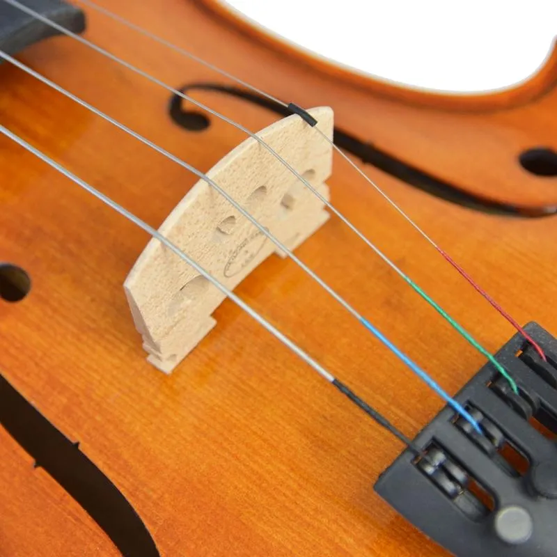 Forenza Prima 2 Viola Outfit - 16 Inch