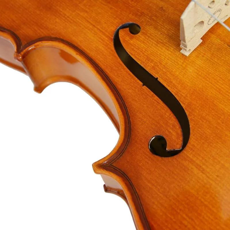 Forenza Prima 2 Viola Outfit - 16 Inch
