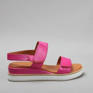 Holly - Hot Pink