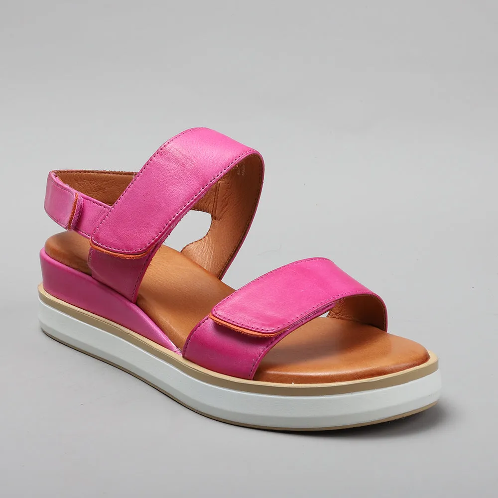 Holly - Hot Pink
