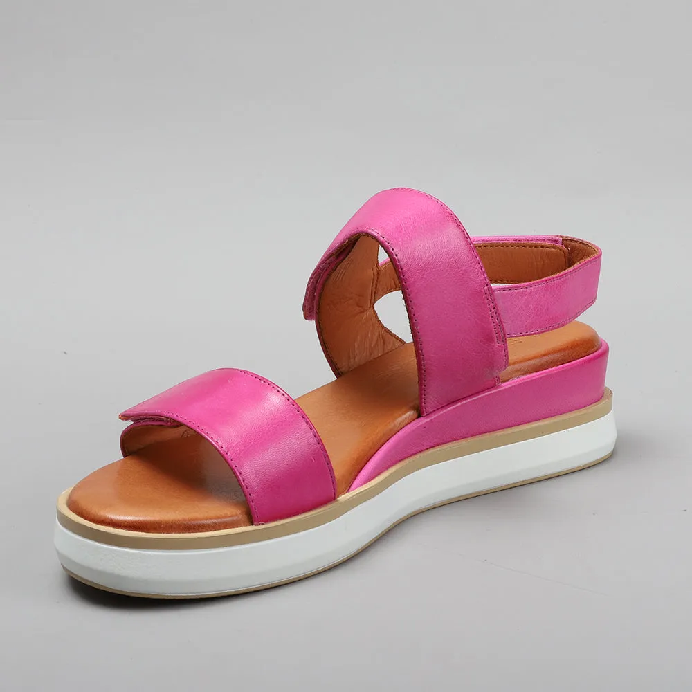 Holly - Hot Pink