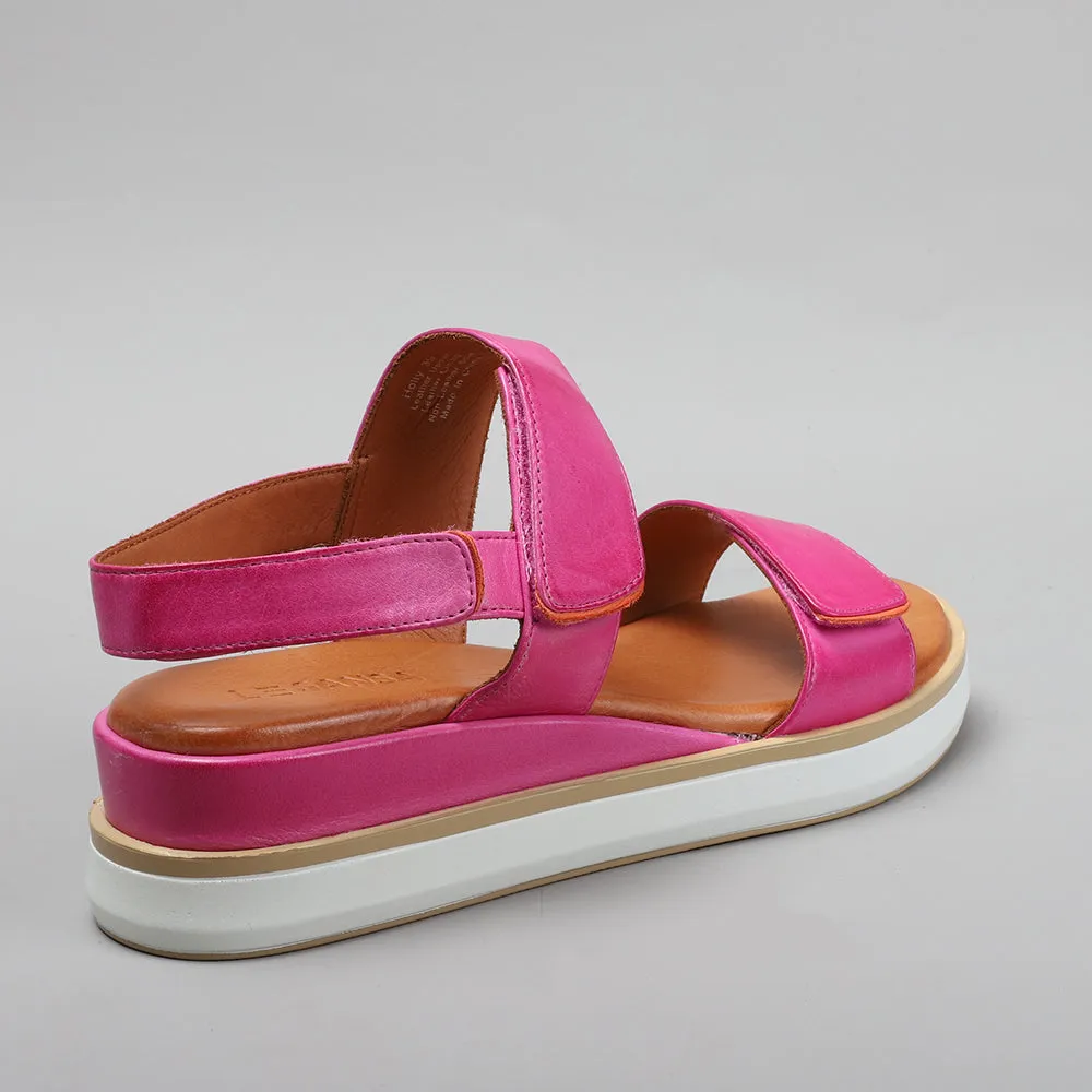 Holly - Hot Pink