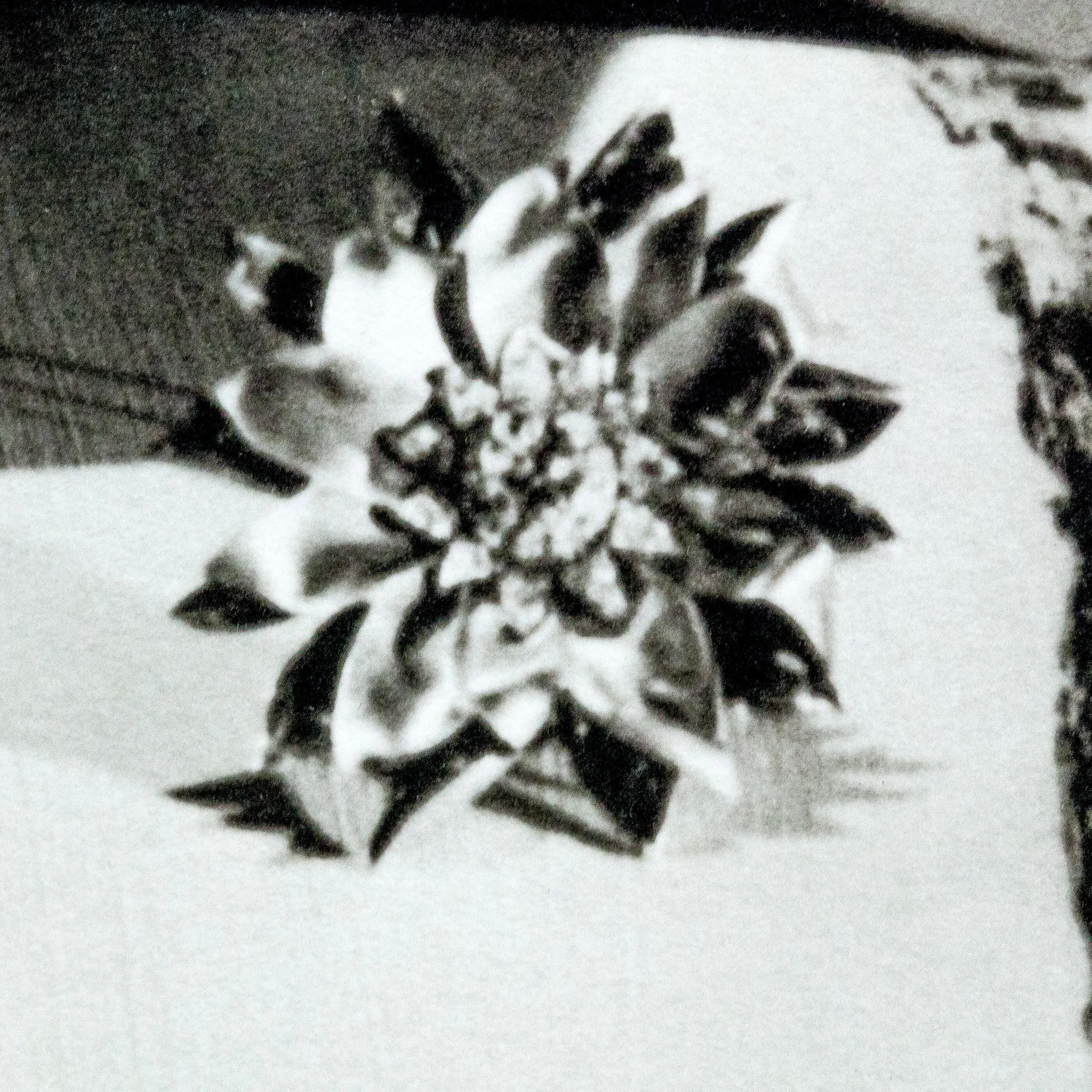 HORST P. HORST 'LISA I LOVE YOU' 1938