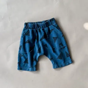 Ivan-Triangle Shorts | Navy