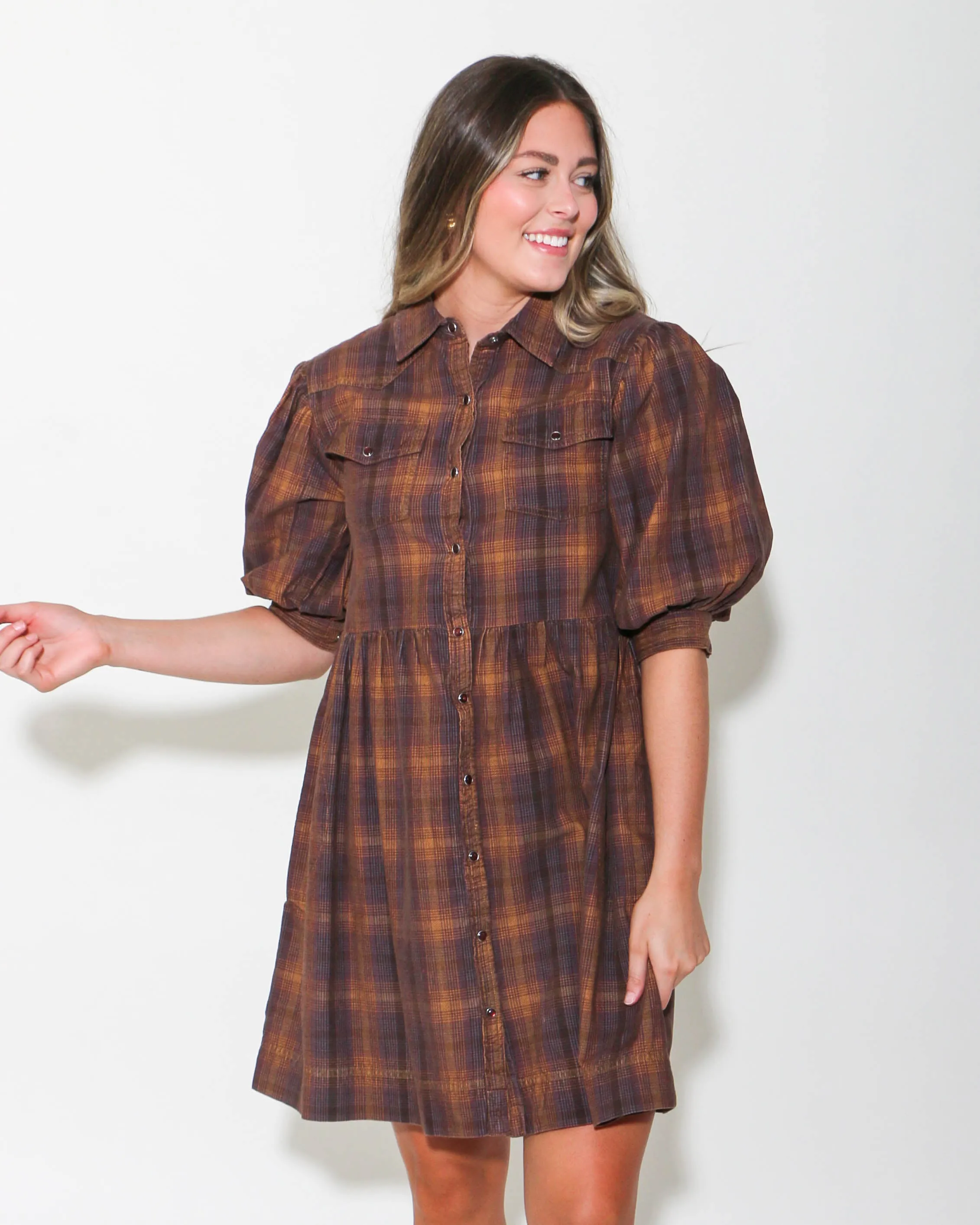 Ivy Jane | Ombre Plaid Snap Dress