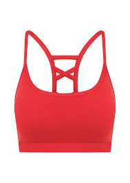 Lorna Jane Seline All Day Support Sports Bra - Ginger