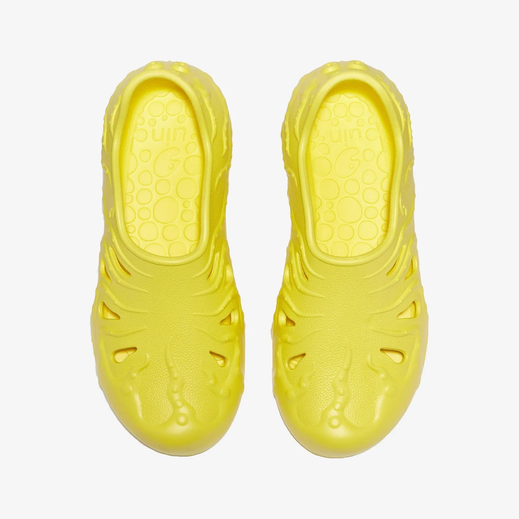Maize Yellow Octopus II Men