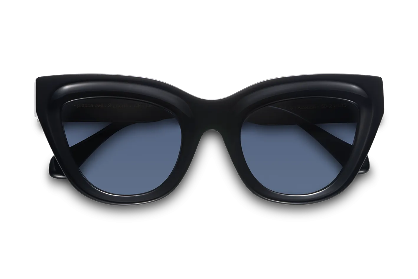 NEW Piazza della Signoria / Black   Dark Black Lens.