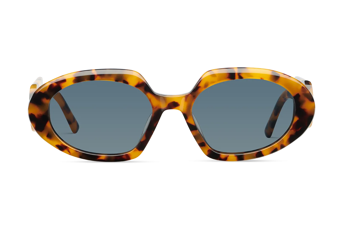 Piazza di Spagna / Tortoise Yellow   Dark Black Lens.