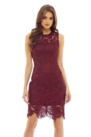 Red Wine Lace Crochet Dress with Sleeveless Detail