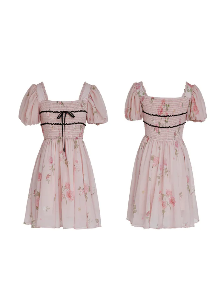 Rose Garden Fairy Dress