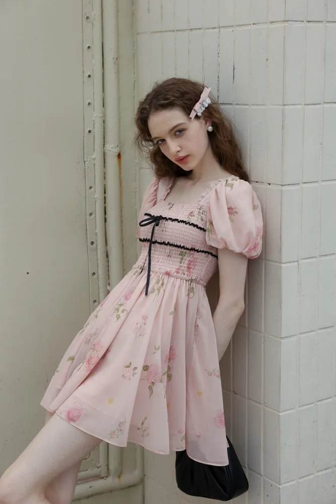 Rose Garden Fairy Dress