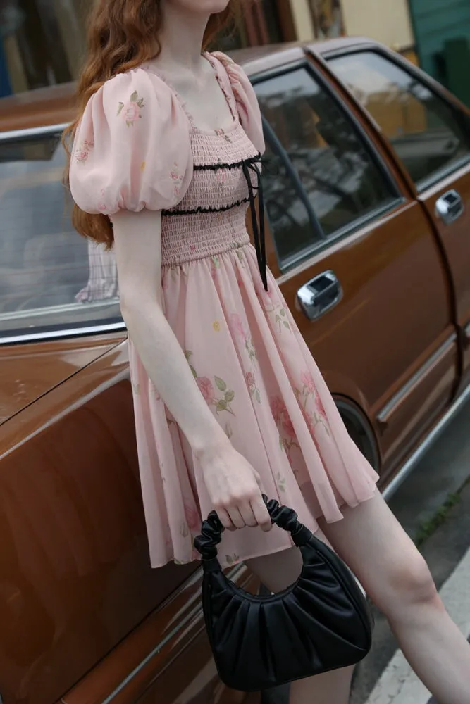 Rose Garden Fairy Dress