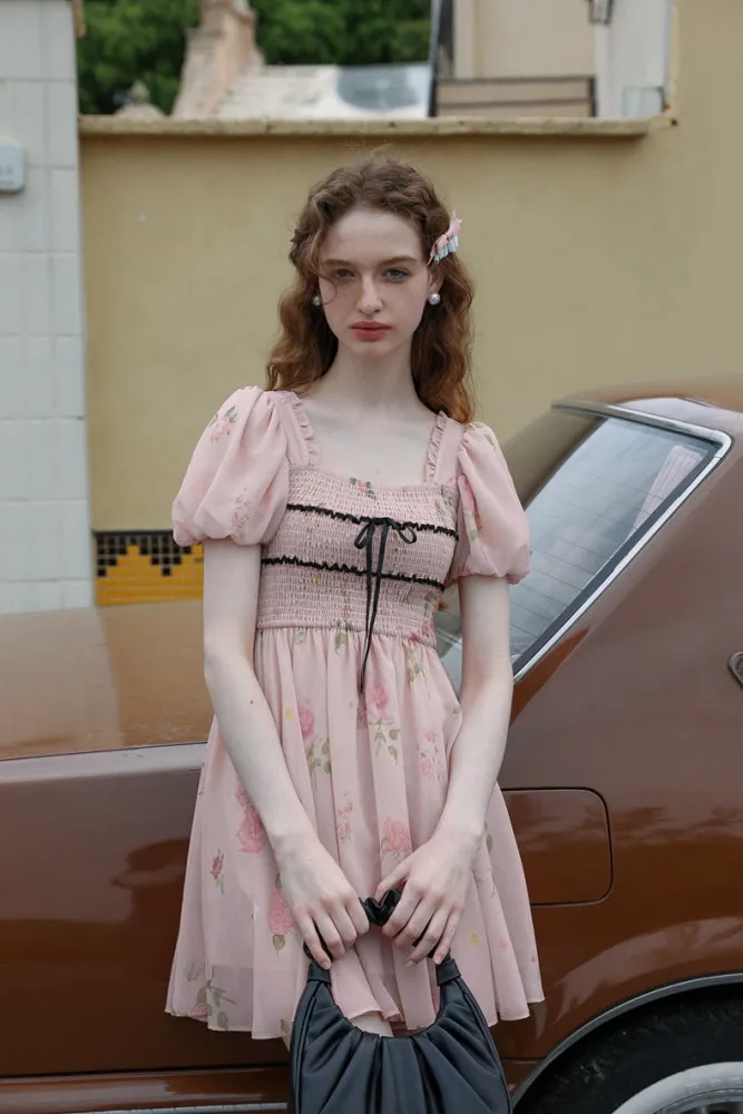 Rose Garden Fairy Dress
