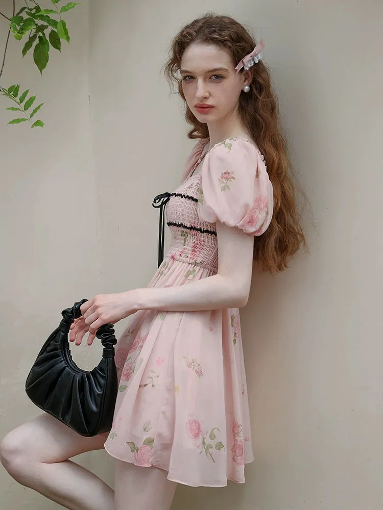 Rose Garden Fairy Dress
