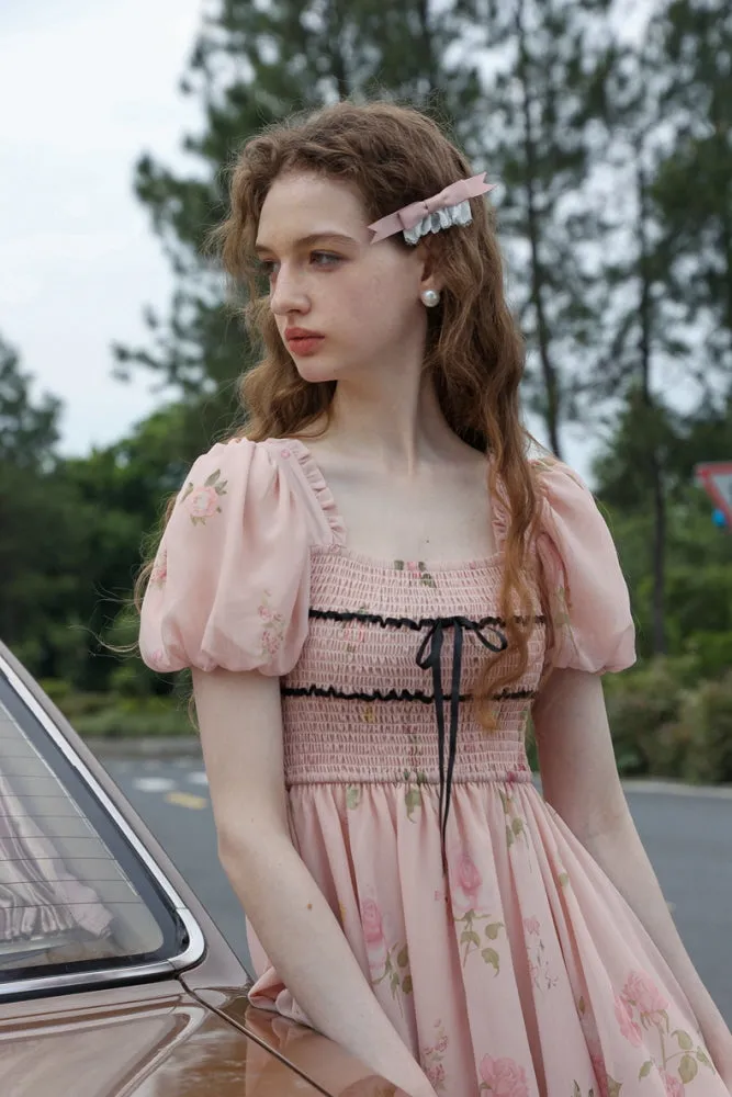 Rose Garden Fairy Dress