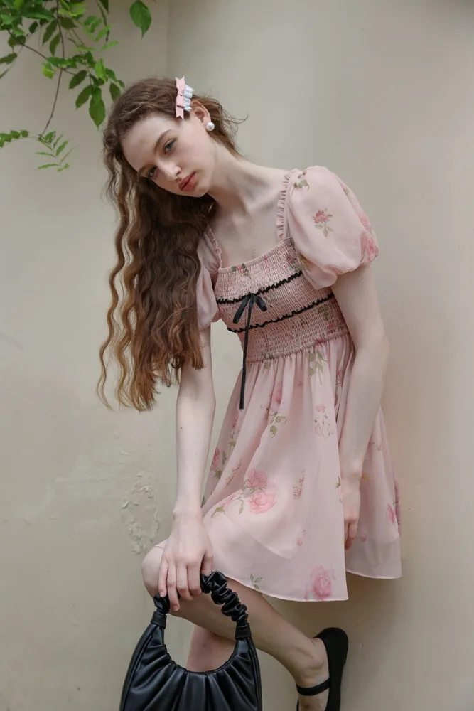 Rose Garden Fairy Dress