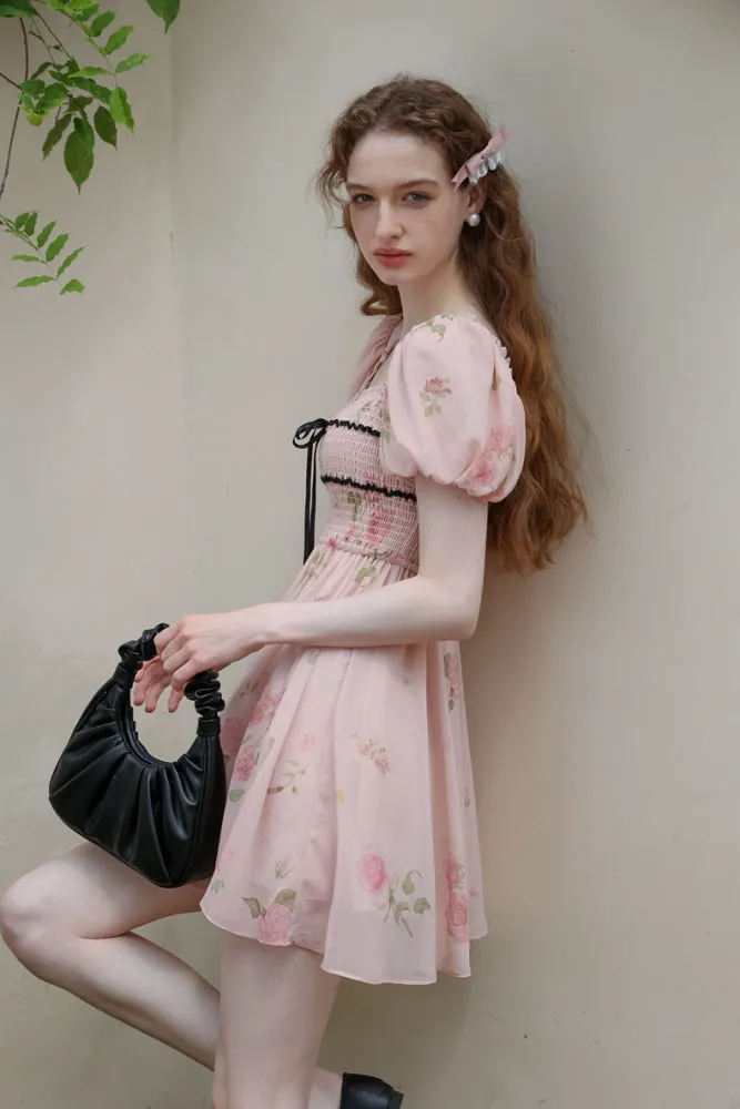 Rose Garden Fairy Dress