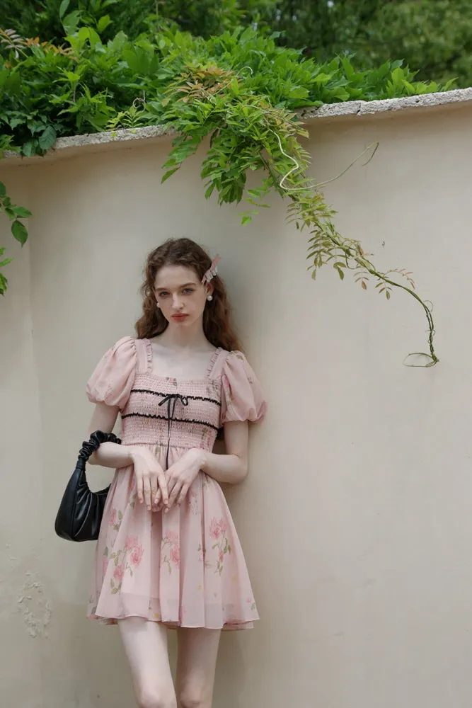 Rose Garden Fairy Dress