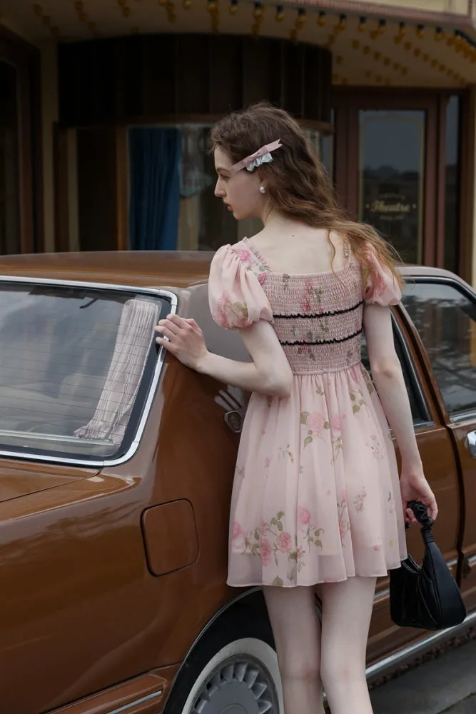Rose Garden Fairy Dress