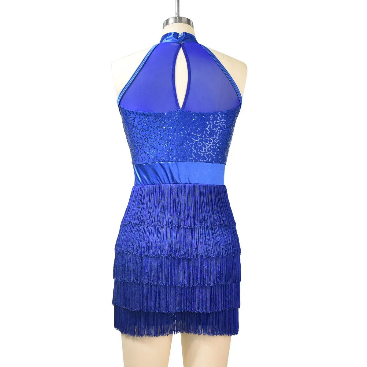 Sequin Tassesl Latin Dance Dress