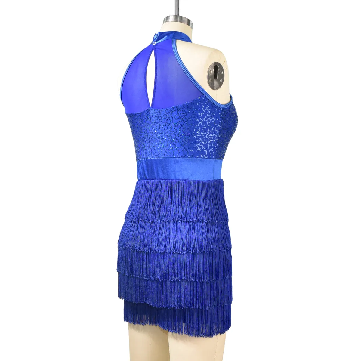 Sequin Tassesl Latin Dance Dress