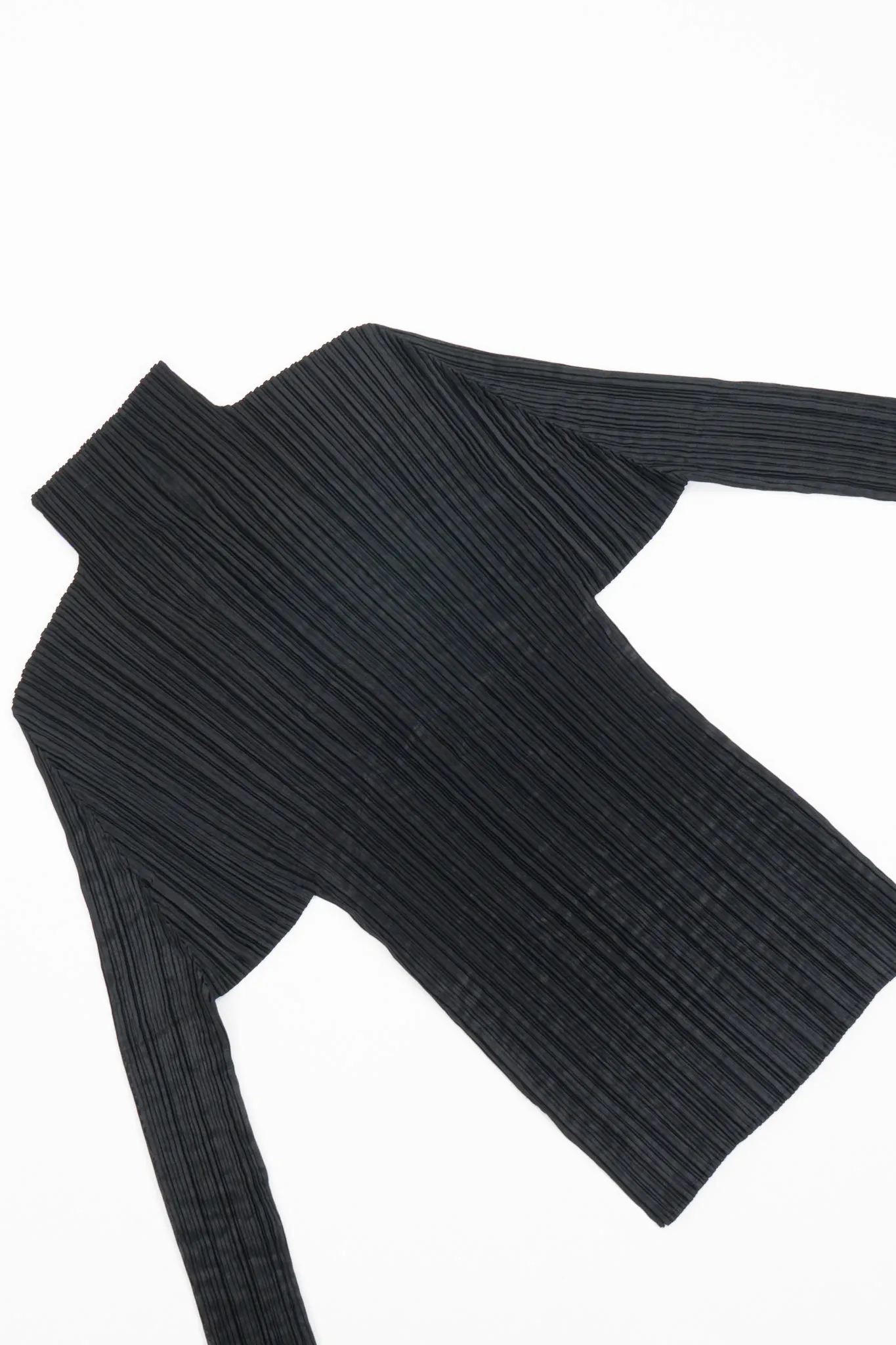 Sheer Pleated Mockneck Top