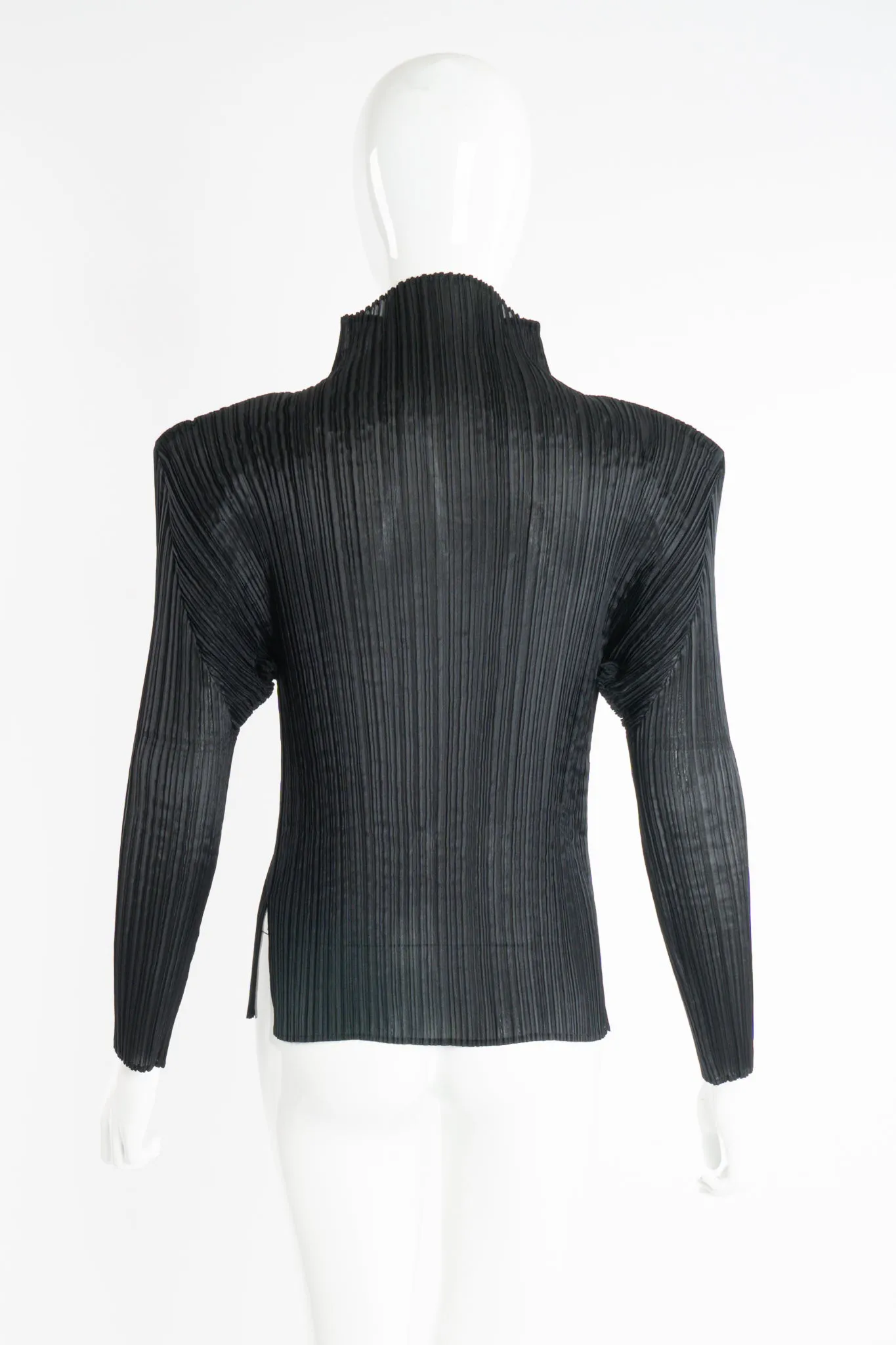 Sheer Pleated Mockneck Top